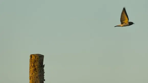 ЛООТ Казино Поддръжка